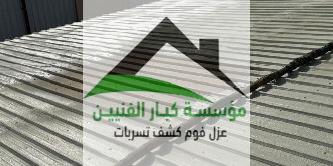 شركة عزل فوم بالمذنب